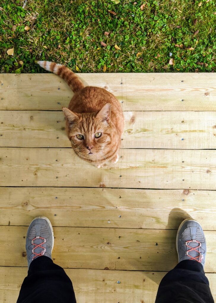 Jasper helping with Tai Chi